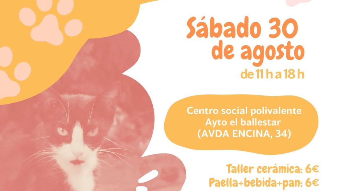 Sábado solidario