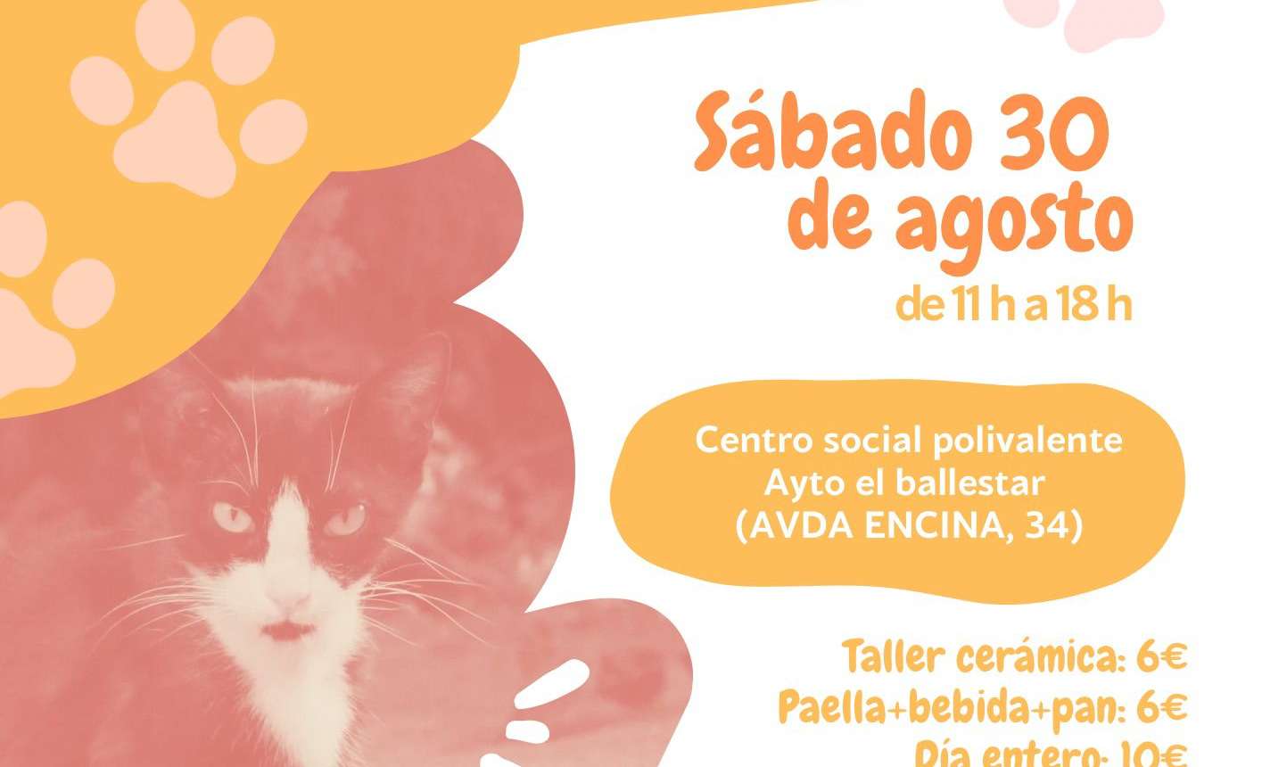 Sábado solidario