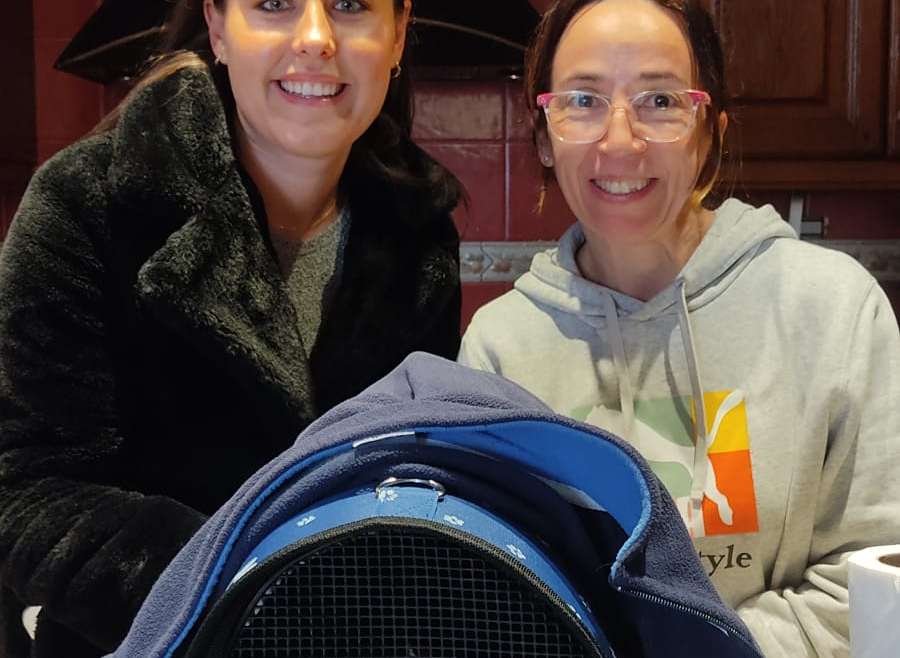 El día de reyes otra adopción…